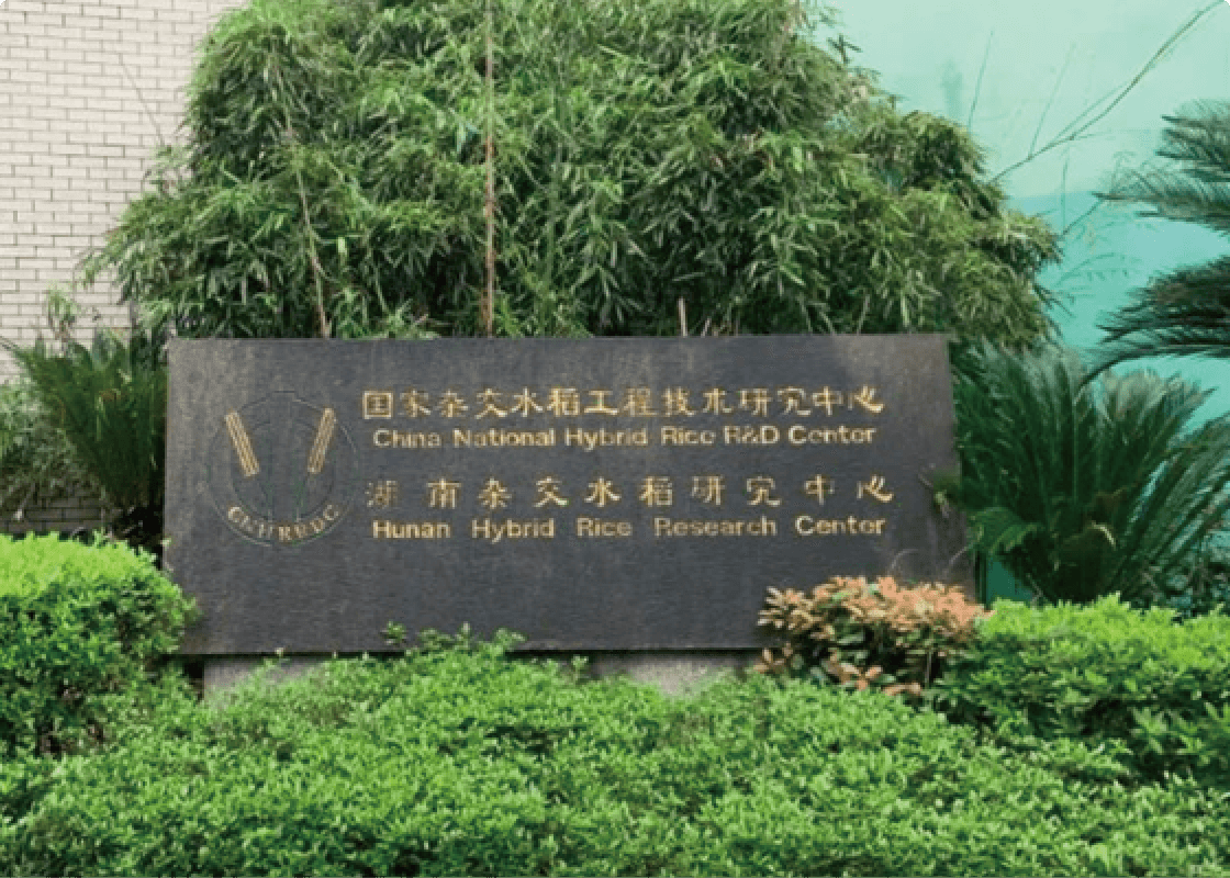 杂交水稻国家重点实验室