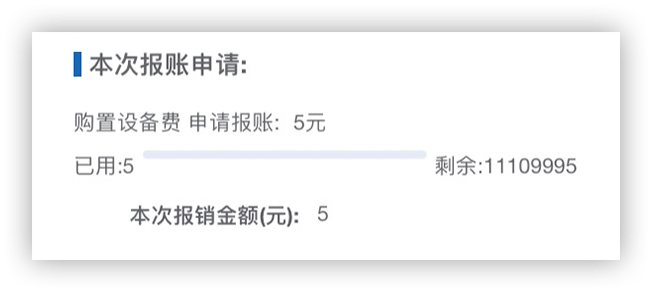 项目