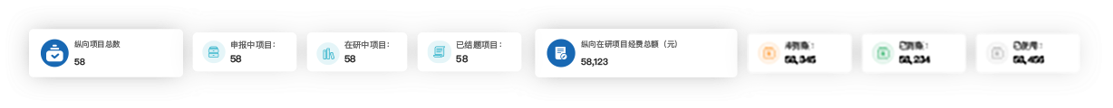 项目