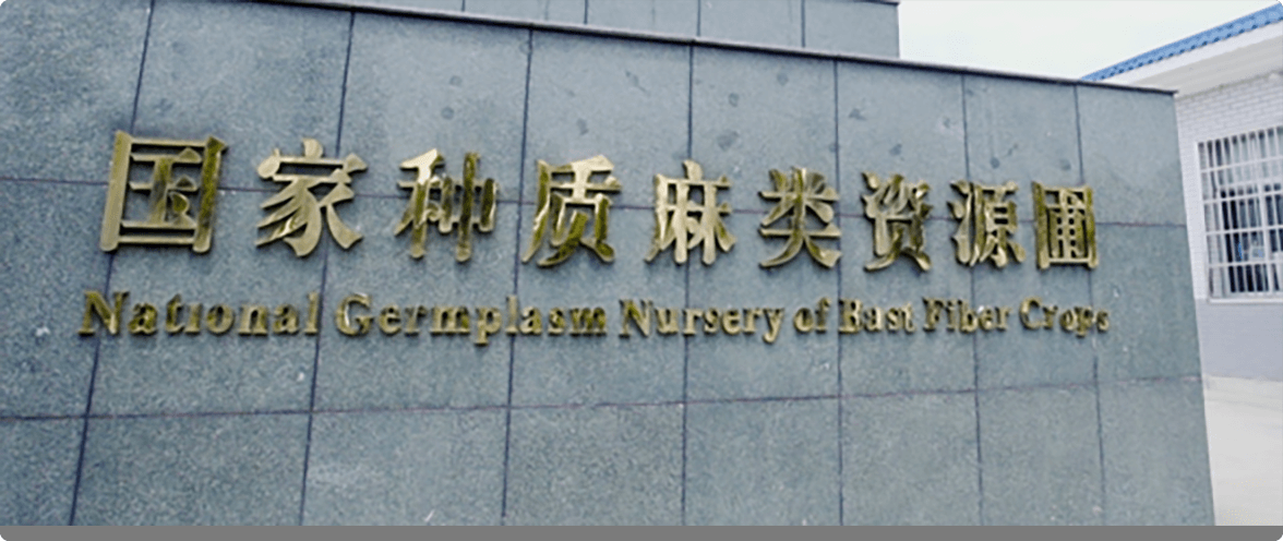 中国农业科学院麻类研究所