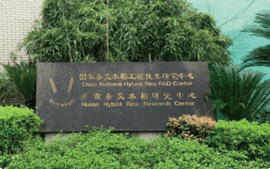 杂交水稻国家重点实验室
