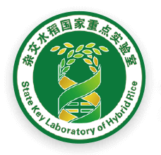 杂交水稻重点实验室